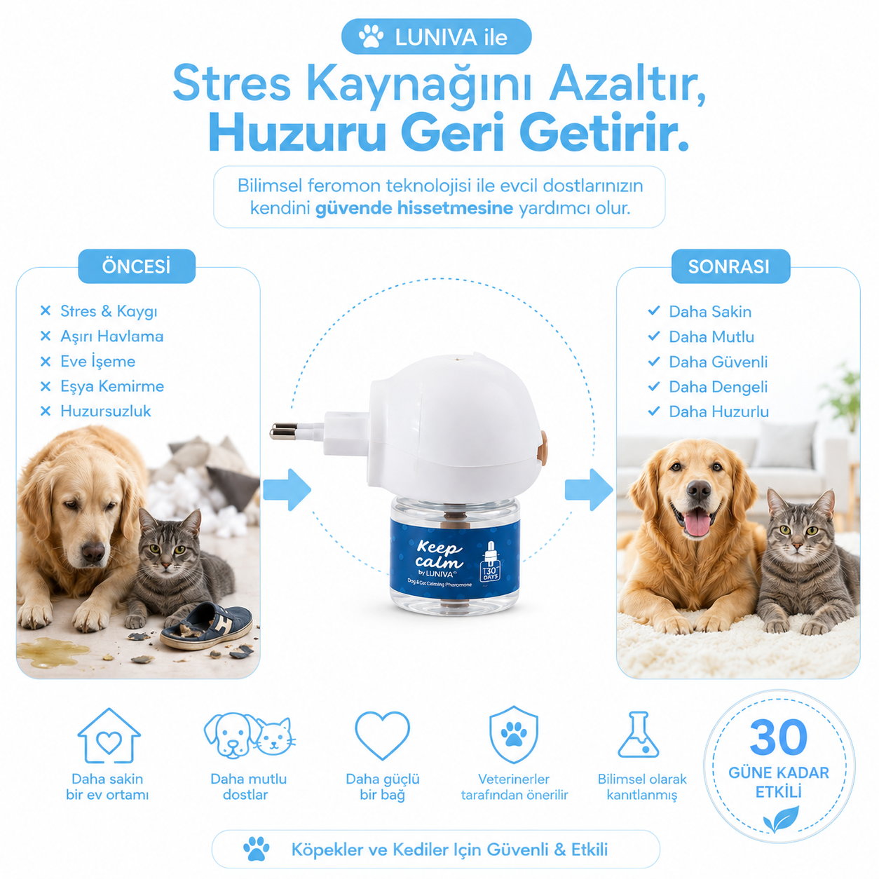 Sakinleştirici Difüzör