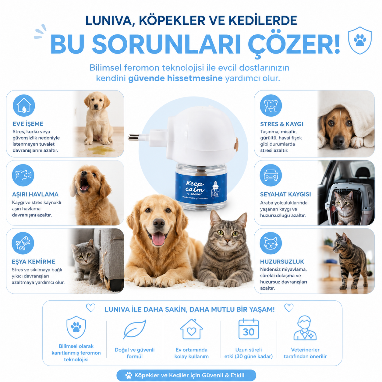 Sakinleştirici Difüzör